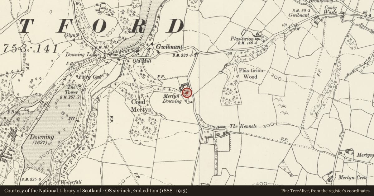 Ordnance Survey six-inch map, 2nd edition (1888–1913) covering the location of Mertyn Downing, Mostyn, Flintshire, with a pin at the register's coordinates