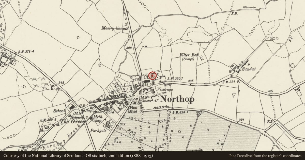 Ordnance Survey six-inch map, 2nd edition (1888–1913) covering the location of Grammar School, Northop, Flintshire, with a pin at the register's coordinates