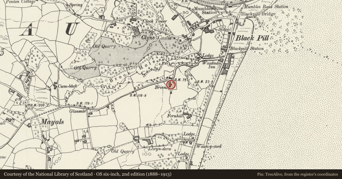 Ordnance Survey six-inch map, 2nd edition (1888–1913) covering the location of Brynau, Mumbles, Swansea, with a pin at the register's coordinates