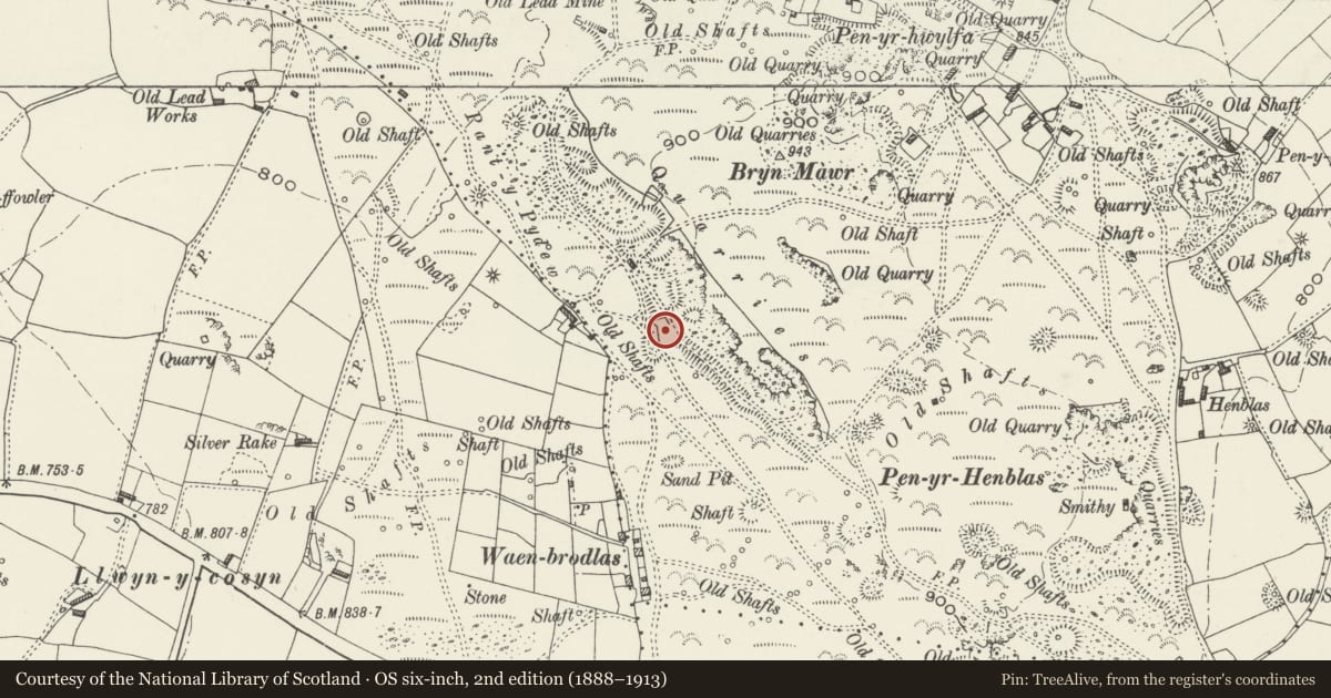 Ordnance Survey six-inch map, 2nd edition (1888–1913) covering the location of Lime Kilns at Bryn Mawr (Aberdo Quarry), Brynford, Flintshire, with a pin at the register's coordinates