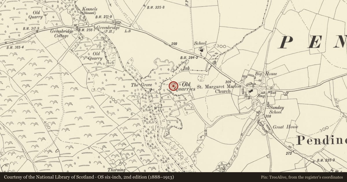 Ordnance Survey six-inch map, 2nd edition (1888–1913) covering the location of Lime Kiln on bank above Grove Caravan Park, Pendine, Carmarthenshire, with a pin at the register's coordinates