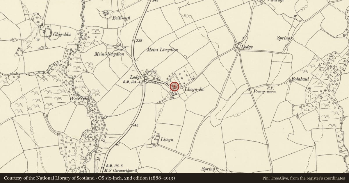 Ordnance Survey six-inch map, 2nd edition (1888–1913) covering the location of Llwyn-du, Llangain, Carmarthenshire, with a pin at the register's coordinates