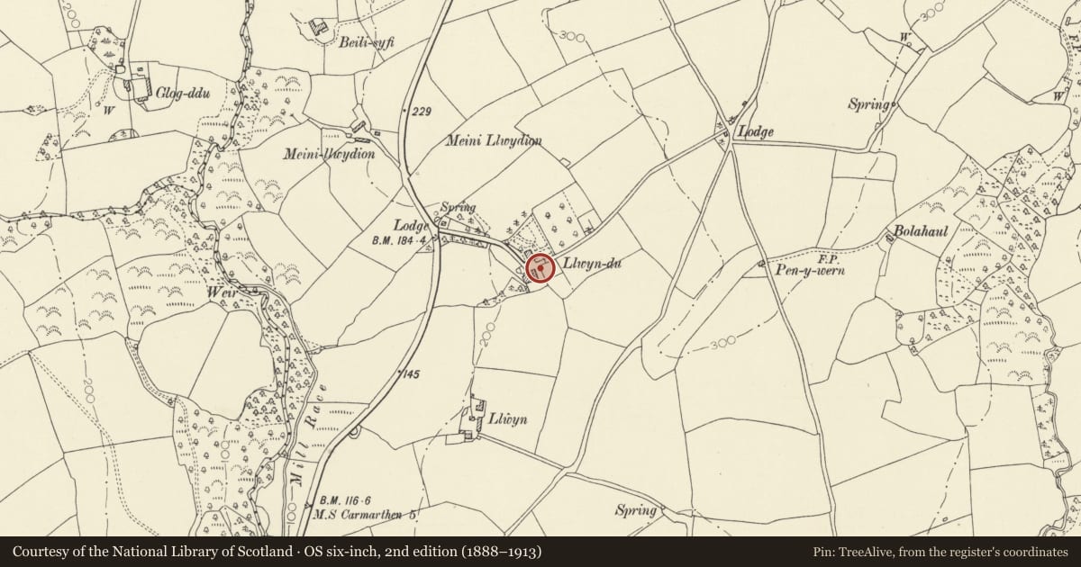 Ordnance Survey six-inch map, 2nd edition (1888–1913) covering the location of Coach-house at Llwyn-du, Llangain, Carmarthenshire, with a pin at the register's coordinates