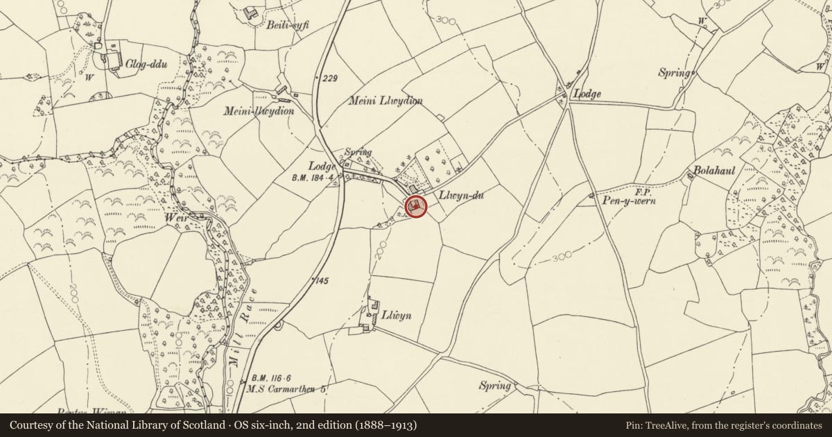 Ordnance Survey six-inch map, 2nd edition (1888–1913) covering the location of Stable court at Llwyn-du, Llangain, Carmarthenshire, with a pin at the register's coordinates