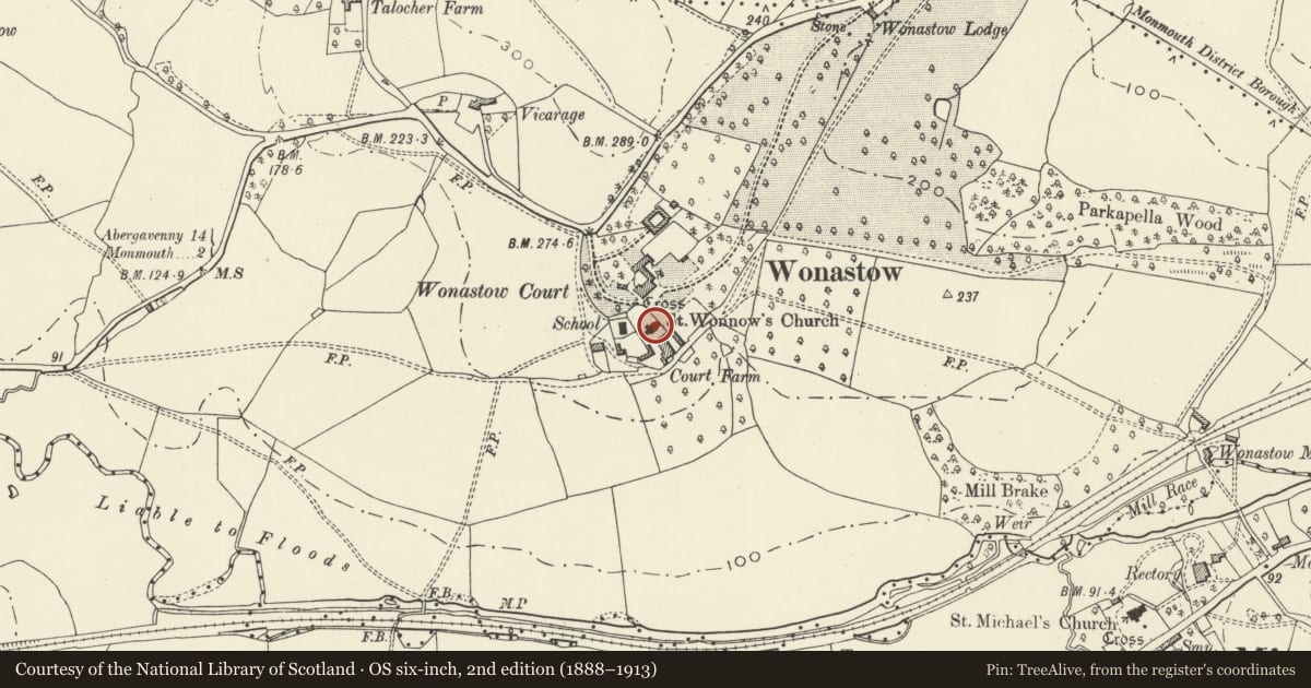 Ordnance Survey six-inch map, 2nd edition (1888–1913) covering the location of Church of St Wonnow, Mitchel Troy, Monmouthshire, with a pin at the register's coordinates