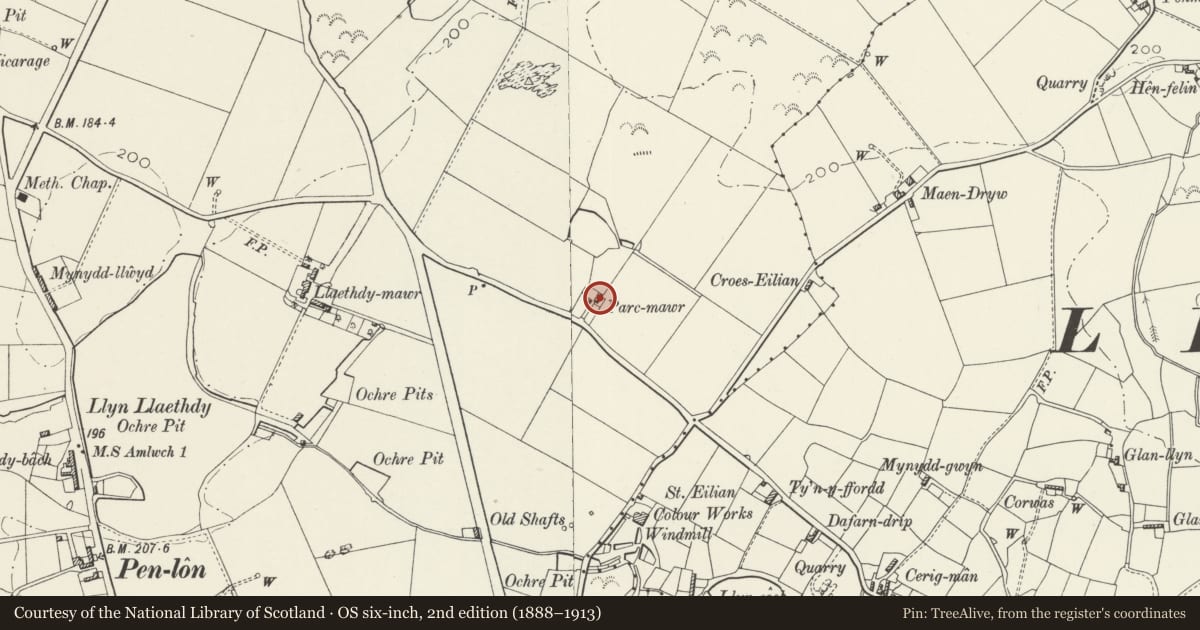 Ordnance Survey six-inch map, 2nd edition (1888–1913) covering the location of Parc Mawr, Amlwch, Isle of Anglesey, with a pin at the register's coordinates