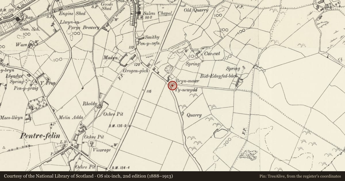 Ordnance Survey six-inch map, 2nd edition (1888–1913) covering the location of Ty-newydd, Amlwch, Isle of Anglesey, with a pin at the register's coordinates