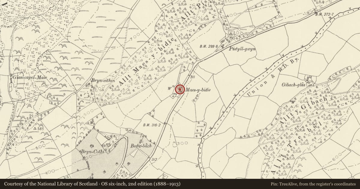 Ordnance Survey six-inch map, 2nd edition (1888–1913) covering the location of Maes-y-Bidiau, Llanfihangel Rhos-y-Corn, Carmarthenshire, with a pin at the register's coordinates