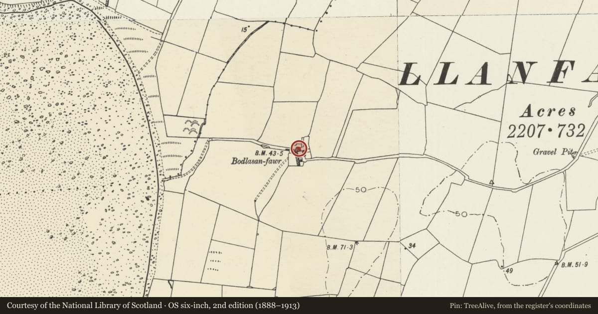 Ordnance Survey six-inch map, 2nd edition (1888–1913) covering the location of Bodlasan Fawr, Llanfachraeth, Isle of Anglesey, with a pin at the register's coordinates