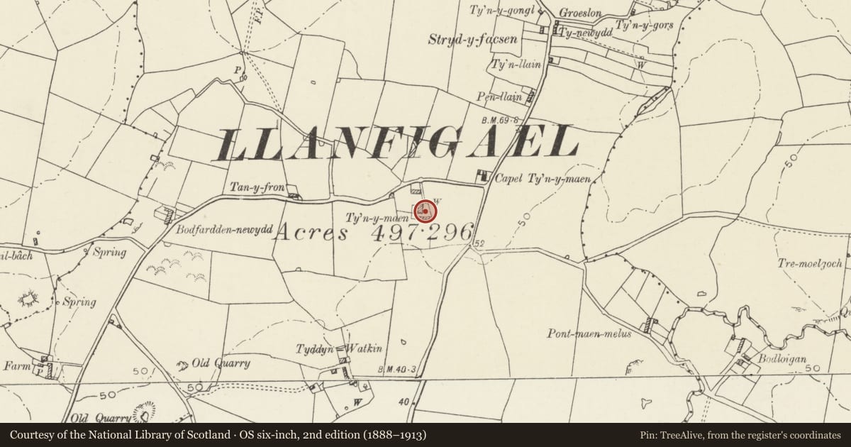 Ordnance Survey six-inch map, 2nd edition (1888–1913) covering the location of Tyn-y-maen, Llanfachraeth, Isle of Anglesey, with a pin at the register's coordinates