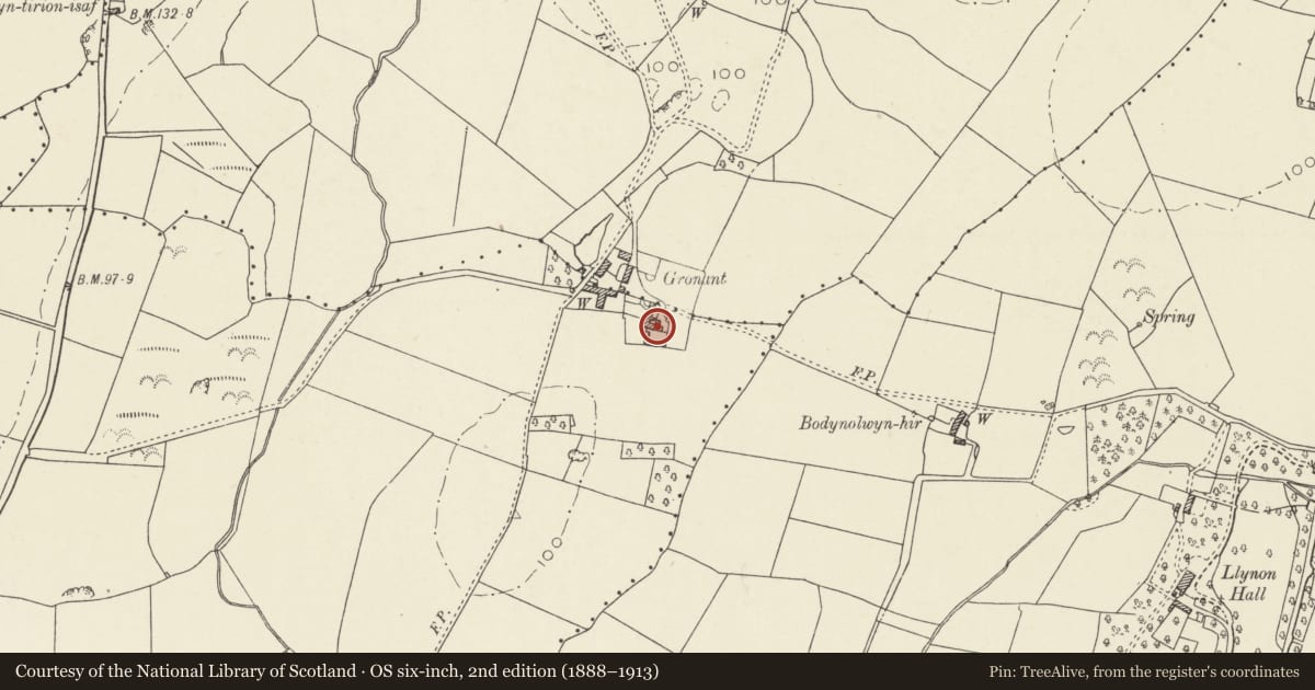 Ordnance Survey six-inch map, 2nd edition (1888–1913) covering the location of Gronant, Llanfachraeth, Isle of Anglesey, with a pin at the register's coordinates