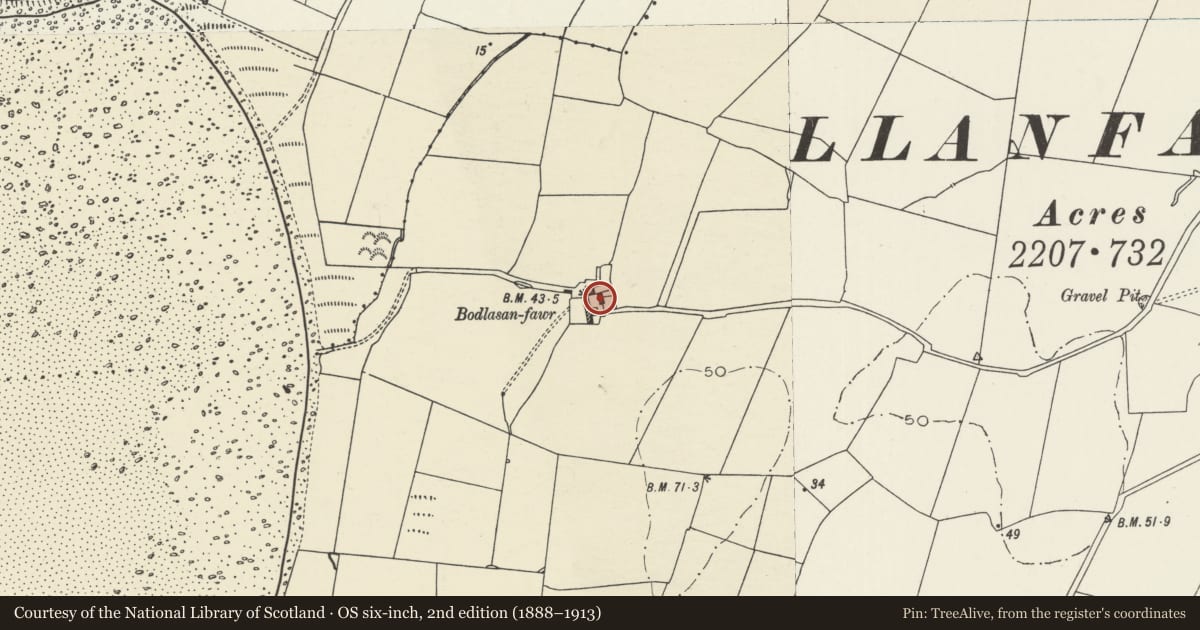 Ordnance Survey six-inch map, 2nd edition (1888–1913) covering the location of Servant's quarters or secondary house, Bodlasan Fawr, Llanfachraeth, Isle of Anglesey, with a pin at the register's coordinates