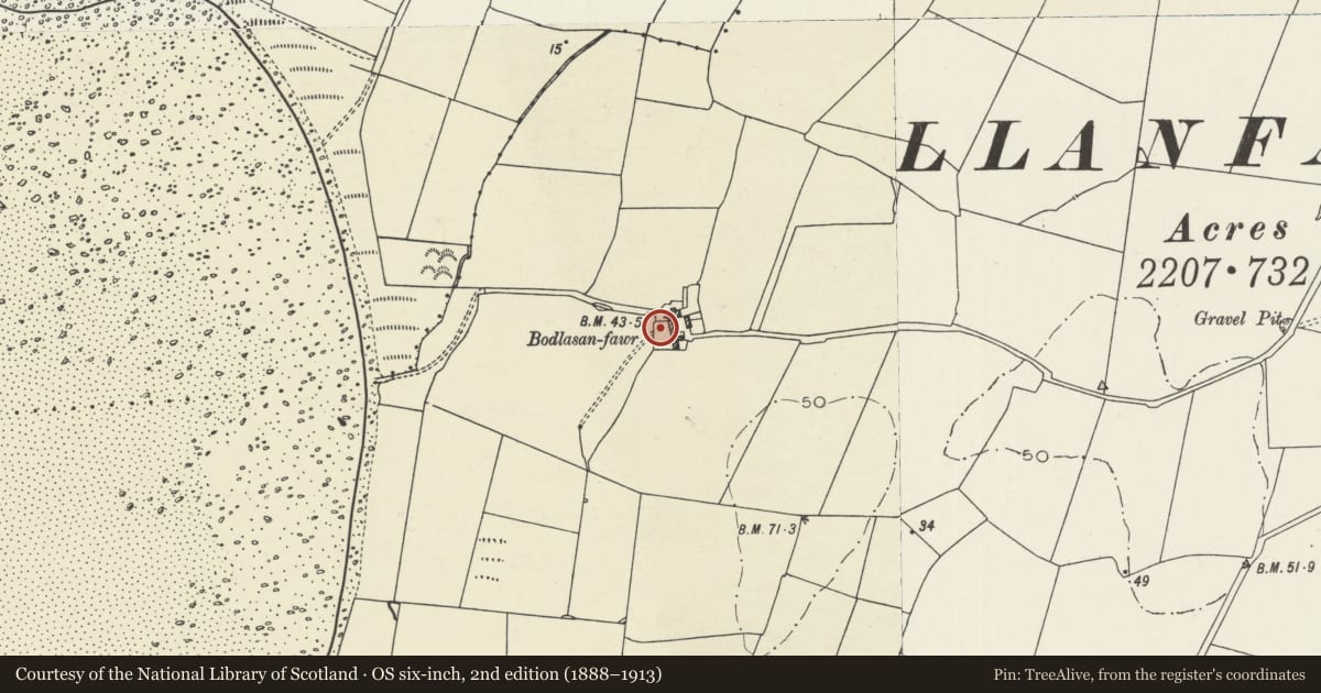 Ordnance Survey six-inch map, 2nd edition (1888–1913) covering the location of Agricultural range, Bodlasan Fawr, Llanfachraeth, Isle of Anglesey, with a pin at the register's coordinates