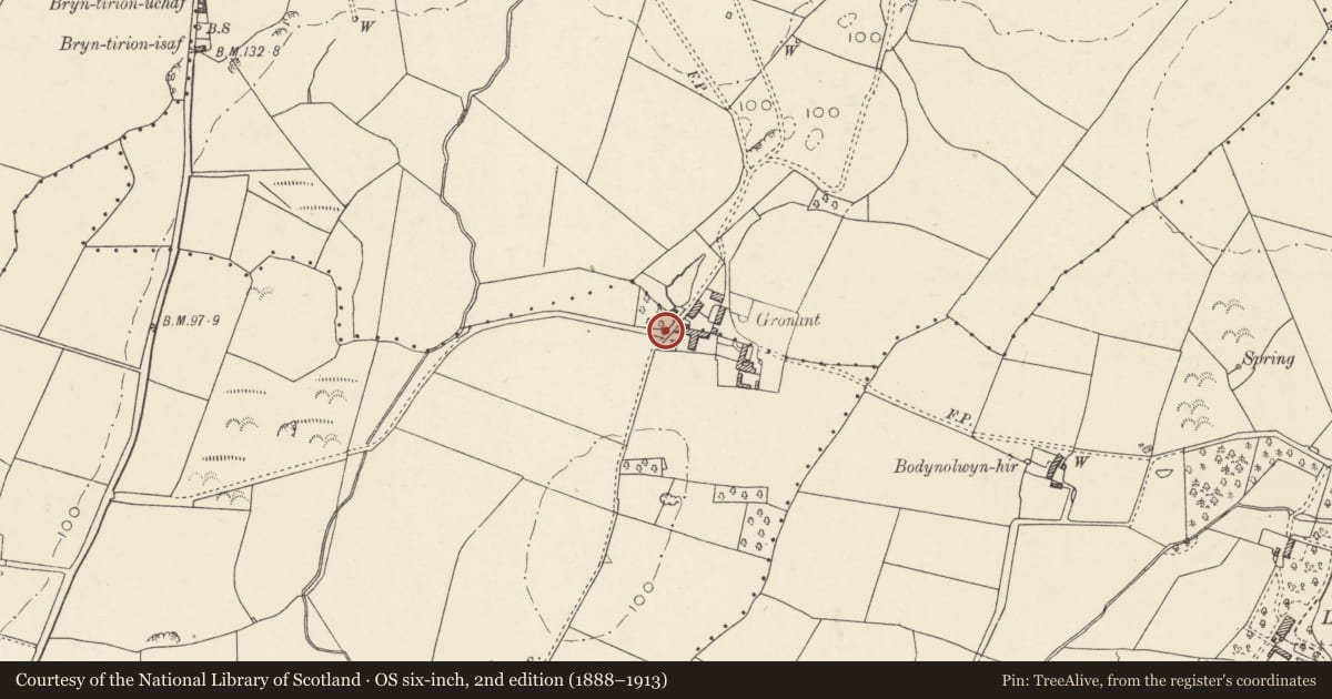 Ordnance Survey six-inch map, 2nd edition (1888–1913) covering the location of Wellhouse, Gronant, Llanfachraeth, Isle of Anglesey, with a pin at the register's coordinates