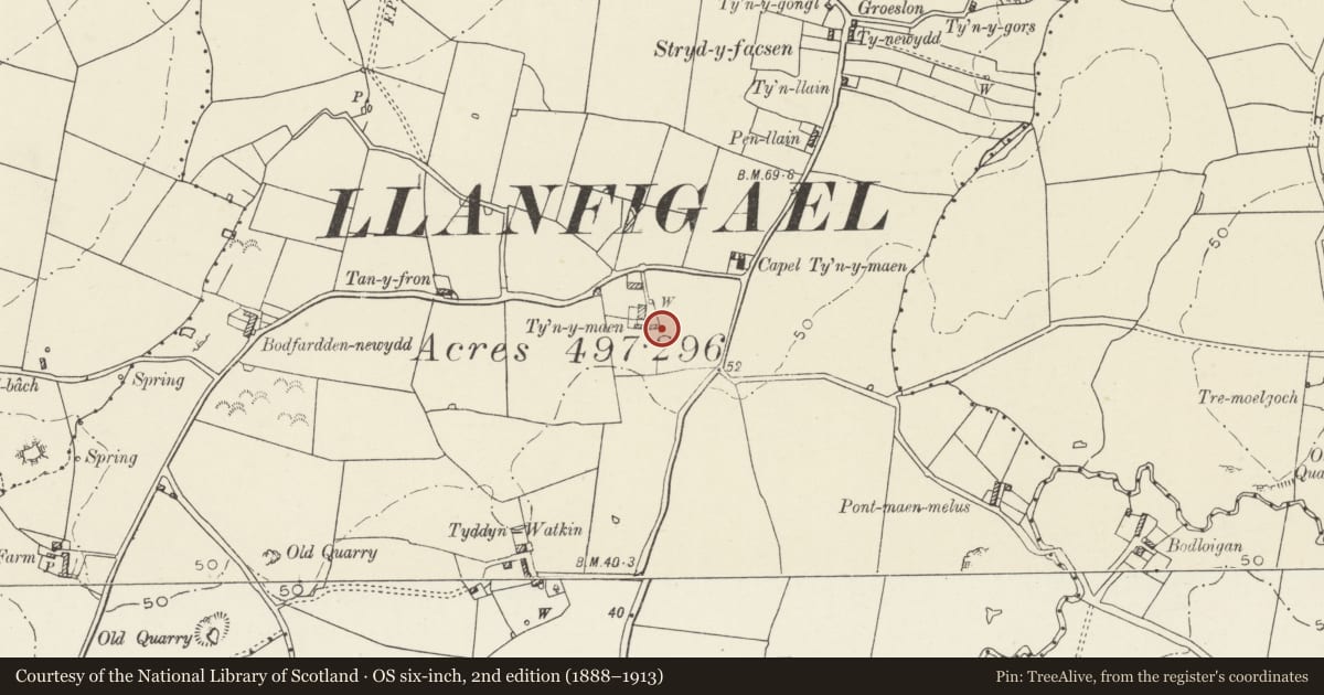 Ordnance Survey six-inch map, 2nd edition (1888–1913) covering the location of Cowhouse-stable range, Tyn-y-maen, Llanfachraeth, Isle of Anglesey, with a pin at the register's coordinates