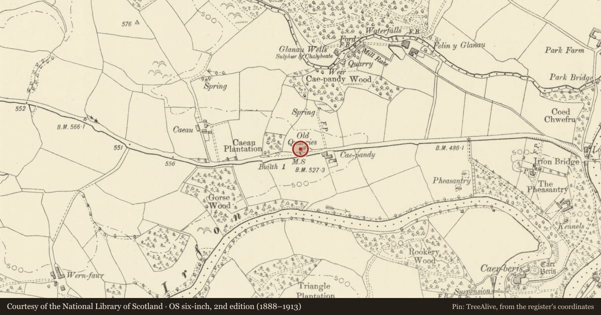 Ordnance Survey six-inch map, 2nd edition (1888–1913) covering the location of Milestone NW of Caepandy Farm, Cilmery, Powys, with a pin at the register's coordinates