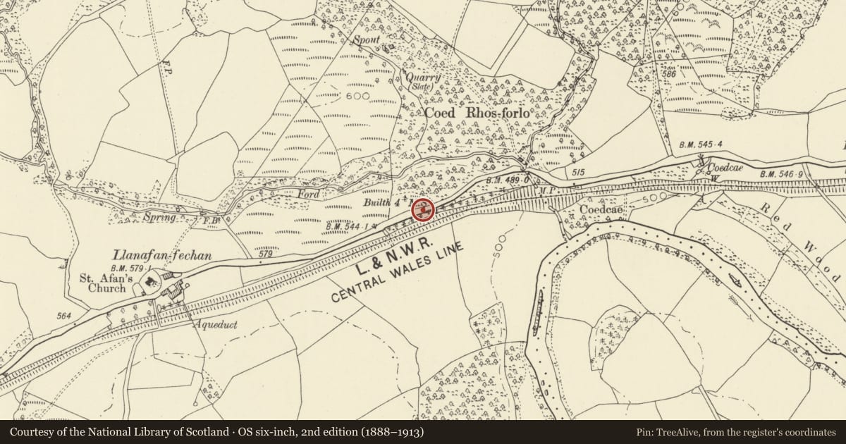 Ordnance Survey six-inch map, 2nd edition (1888–1913) covering the location of Milestone E of Llanfechan Farm, Cilmery, Powys, with a pin at the register's coordinates