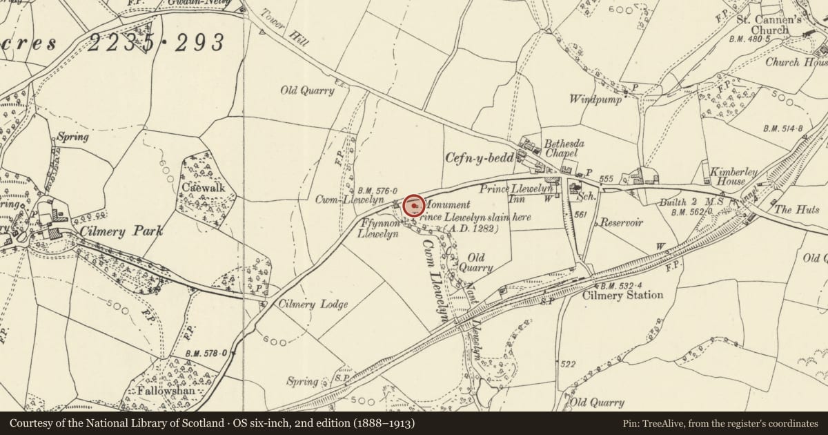 Ordnance Survey six-inch map, 2nd edition (1888–1913) covering the location of Memorial to Llywelyn ap Gruffudd, Prince of Wales, Cilmery, Powys, with a pin at the register's coordinates