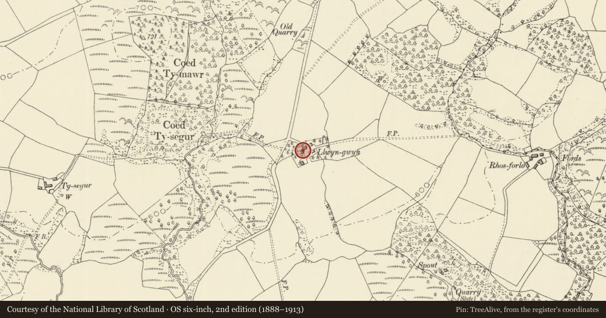 Ordnance Survey six-inch map, 2nd edition (1888–1913) covering the location of Llwyngwyn, Cilmery, Powys, with a pin at the register's coordinates