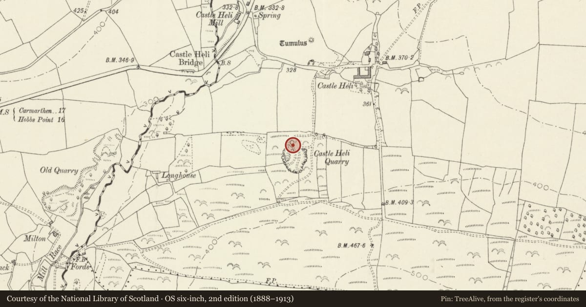 Ordnance Survey six-inch map, 2nd edition (1888–1913) covering the location of N Lime Kiln and retaining wall at Castle Ely Quarry, Eglwyscummin, Carmarthenshire, with a pin at the register's coordinates