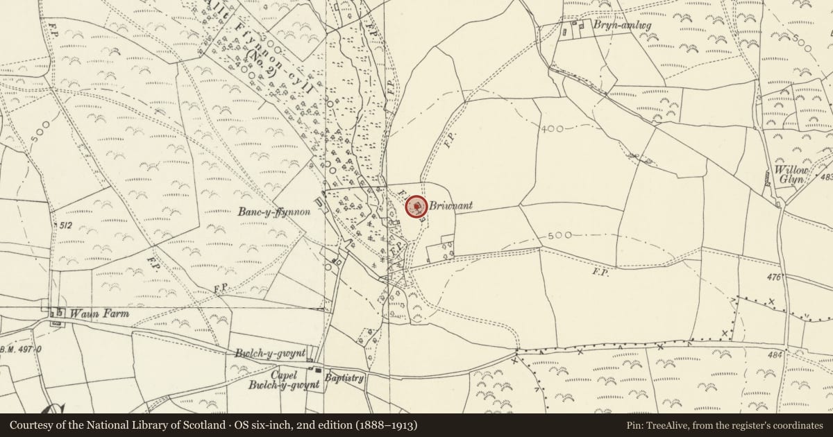 Ordnance Survey six-inch map, 2nd edition (1888–1913) covering the location of Brunant, Eglwyscummin, Carmarthenshire, with a pin at the register's coordinates