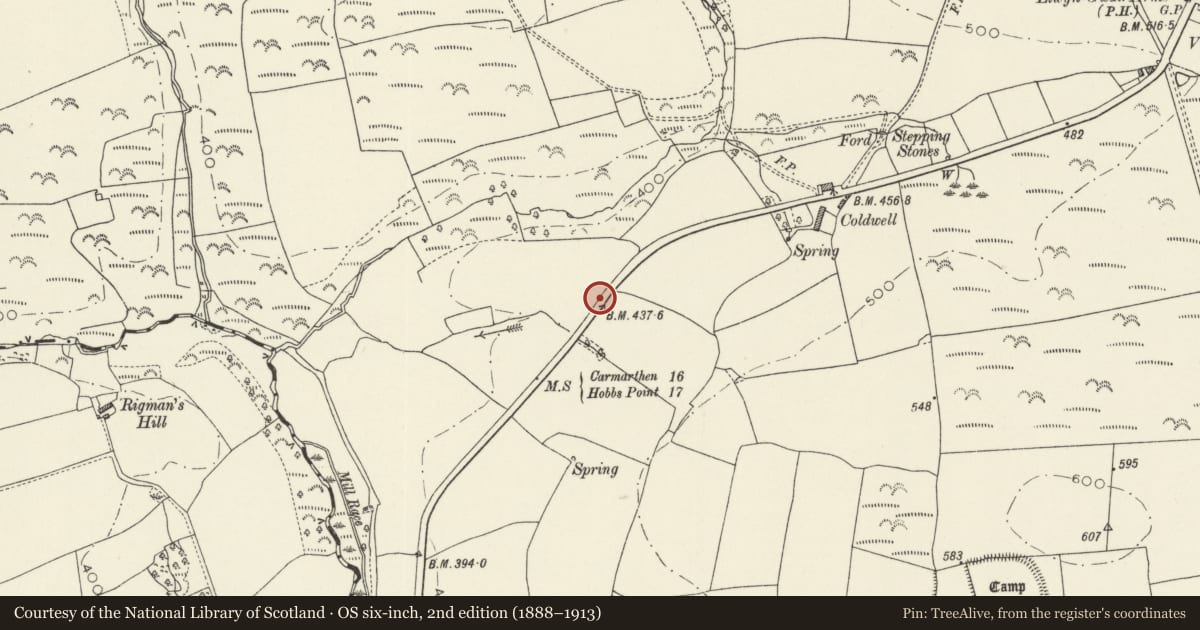 Ordnance Survey six-inch map, 2nd edition (1888–1913) covering the location of Milestone SW of Rhos-goch, Eglwyscummin, Carmarthenshire, with a pin at the register's coordinates