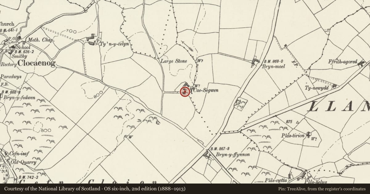 Ordnance Survey six-inch map, 2nd edition (1888–1913) covering the location of Cae Segwen, Clocaenog, Denbighshire, with a pin at the register's coordinates
