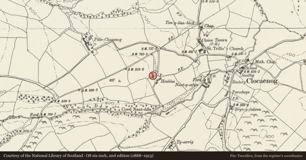 Ordnance Survey six-inch map, 2nd edition (1888–1913) covering the location of Hen Blas, Clocaenog, Denbighshire, with a pin at the register's coordinates