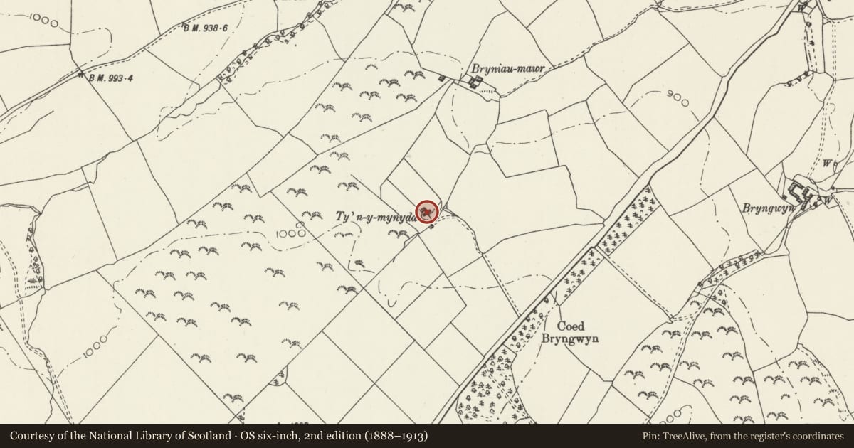 Ordnance Survey six-inch map, 2nd edition (1888–1913) covering the location of Tyn-y-mynydd, Clocaenog, Denbighshire, with a pin at the register's coordinates
