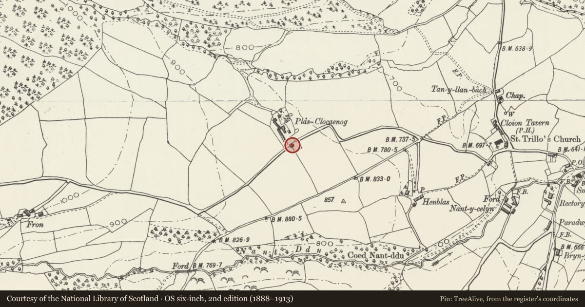 Ordnance Survey six-inch map, 2nd edition (1888–1913) covering the location of Triple Stable or Cowhouse at Plas Clocaenog, Denbighshire, with a pin at the register's coordinates