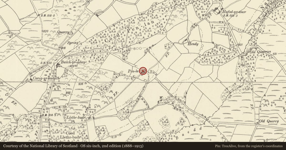 Ordnance Survey six-inch map, 2nd edition (1888–1913) covering the location of Barn at Penlan, Llanafanfawr, Powys, with a pin at the register's coordinates