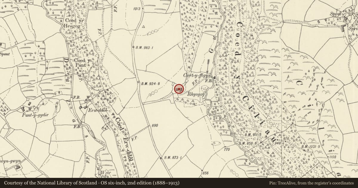 Ordnance Survey six-inch map, 2nd edition (1888–1913) covering the location of Rhysgog with adjoining ranges, Llanafanfawr, Powys, with a pin at the register's coordinates