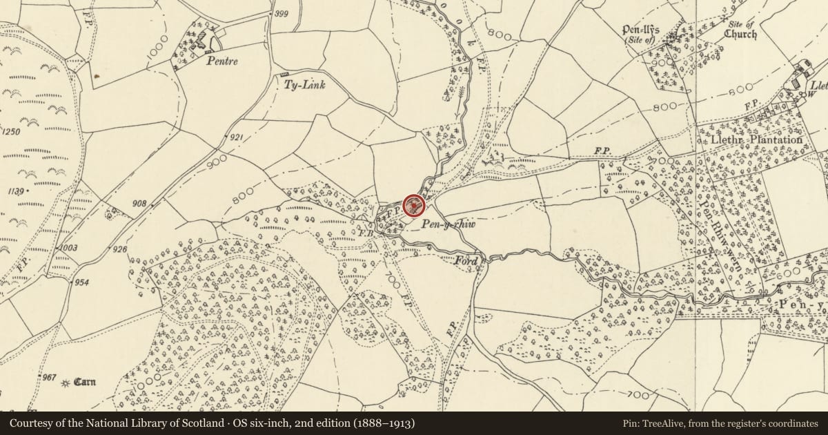 Ordnance Survey six-inch map, 2nd edition (1888–1913) covering the location of Pen y Rhiw with adjoining farm ranges, Llanafanfawr, Powys, with a pin at the register's coordinates