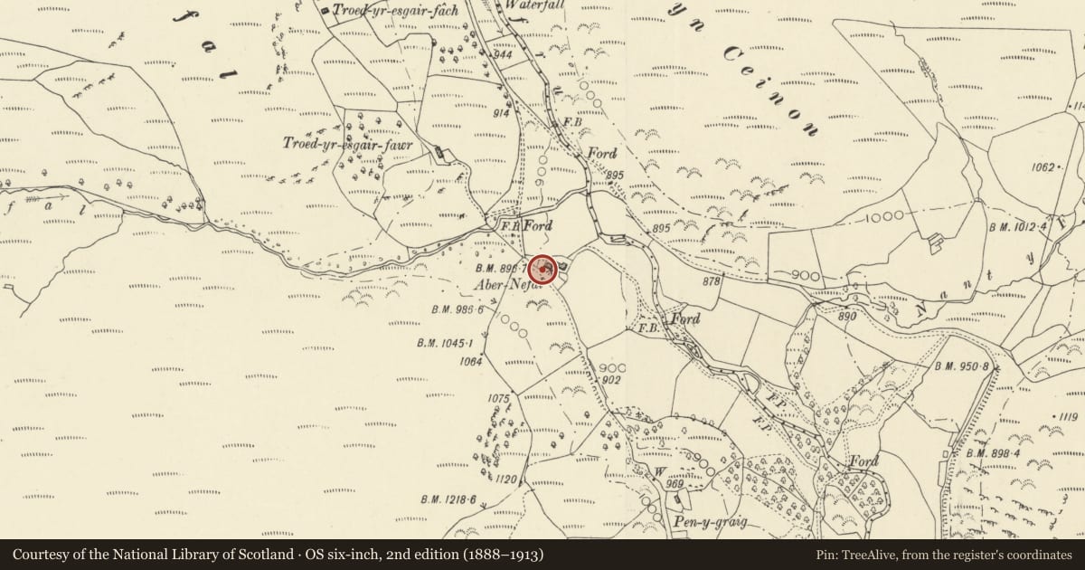 Ordnance Survey six-inch map, 2nd edition (1888–1913) covering the location of Abernefal, Llanafanfawr, Powys, with a pin at the register's coordinates