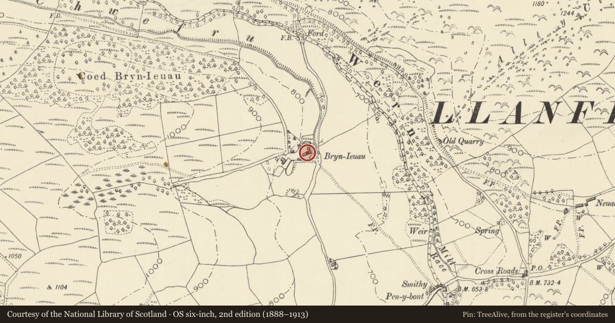 Ordnance Survey six-inch map, 2nd edition (1888–1913) covering the location of Bryn Ieuau, Llanafanfawr, Powys, with a pin at the register's coordinates