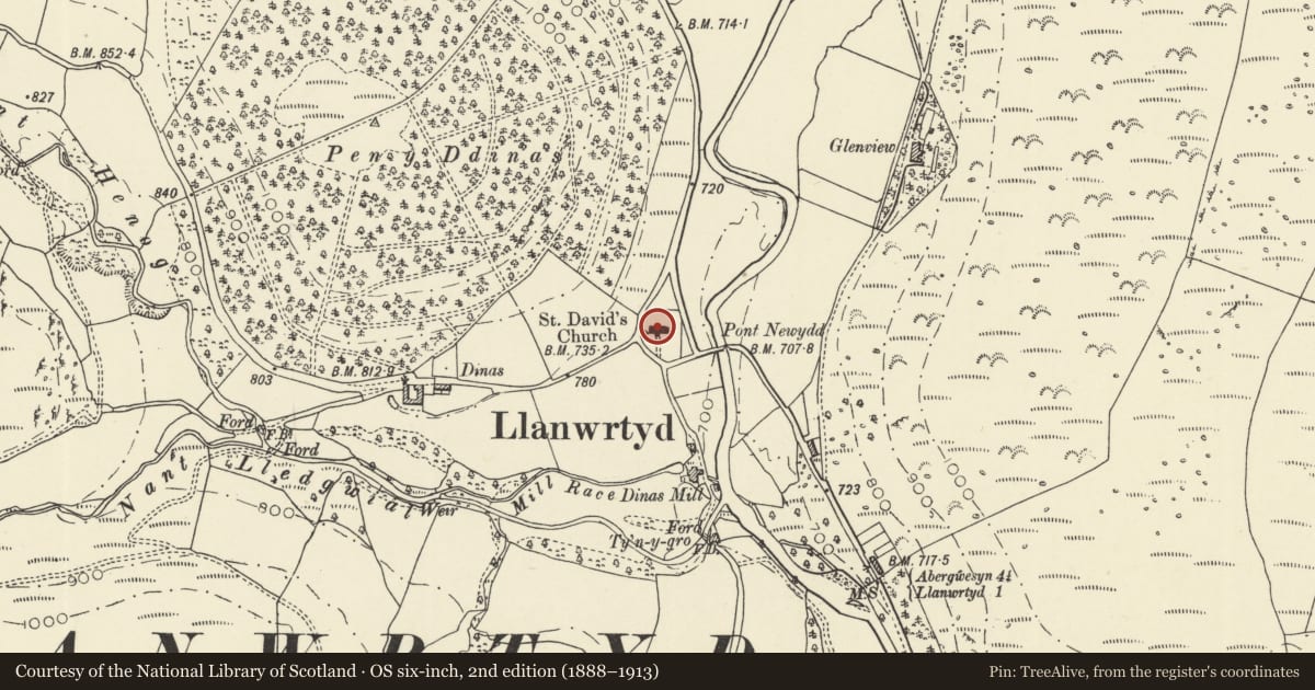Ordnance Survey six-inch map, 2nd edition (1888–1913) covering the location of Church of St David, Llanwrtyd Wells, Powys, with a pin at the register's coordinates