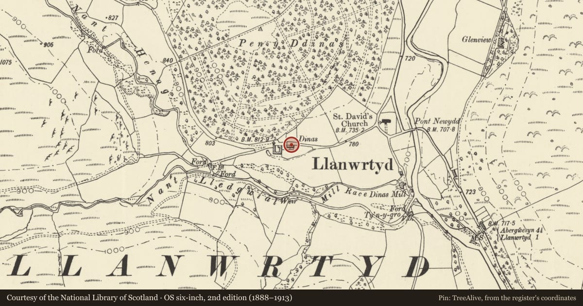 Ordnance Survey six-inch map, 2nd edition (1888–1913) covering the location of Dinas, Llanwrtyd Wells, Powys, with a pin at the register's coordinates