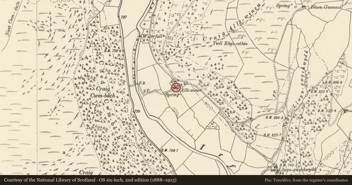 Ordnance Survey six-inch map, 2nd edition (1888–1913) covering the location of Alltwineu, Llanwrtyd Wells, Powys, with a pin at the register's coordinates