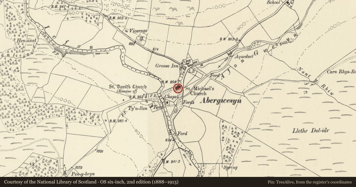 Ordnance Survey six-inch map, 2nd edition (1888–1913) covering the location of Churchyard Monument, Llanfihangel Abergwesyn, Llanwrtyd Wells, Powys, with a pin at the register's coordinates