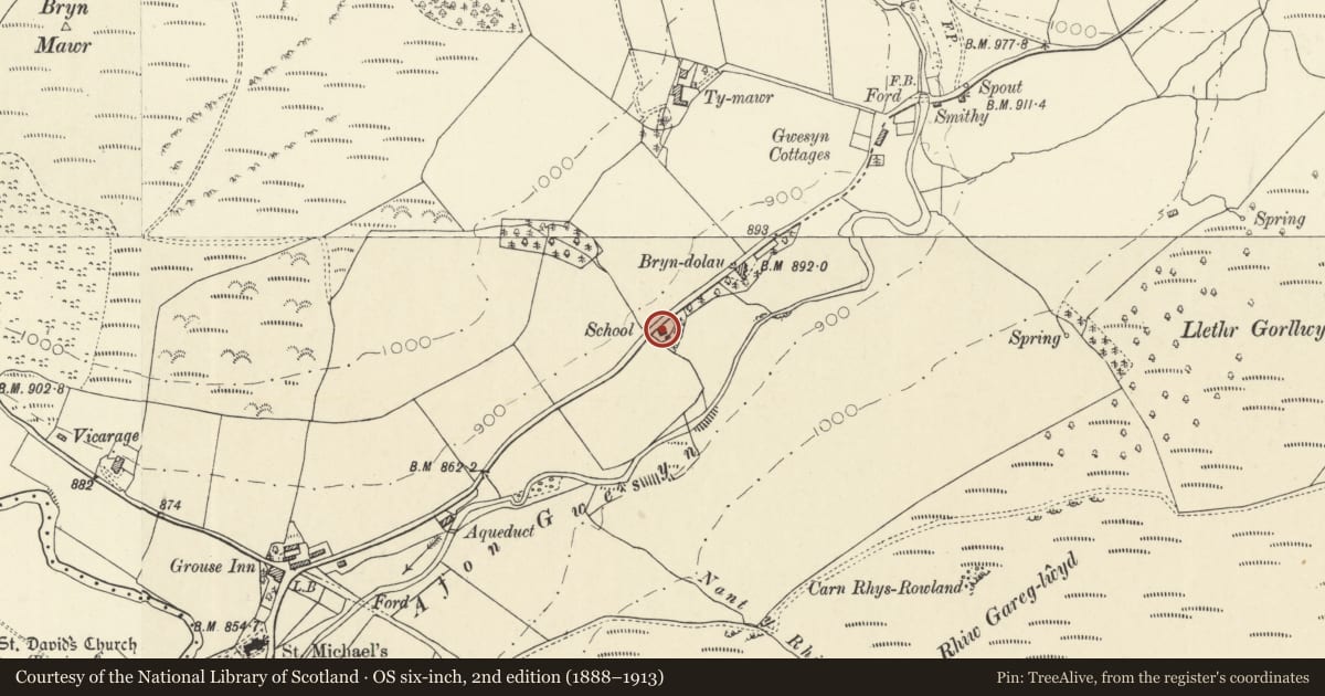Ordnance Survey six-inch map, 2nd edition (1888–1913) covering the location of Old School House, Llanwrtyd Wells, Powys, with a pin at the register's coordinates