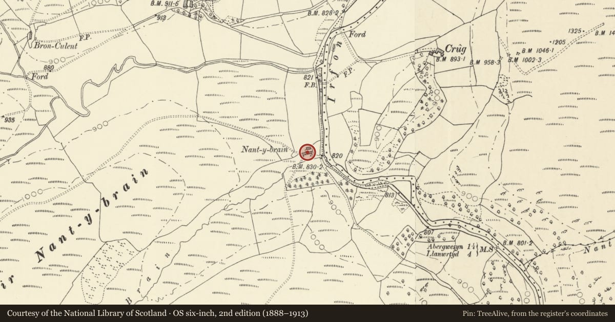Ordnance Survey six-inch map, 2nd edition (1888–1913) covering the location of Nant y Brain, Llanwrtyd Wells, Powys, with a pin at the register's coordinates