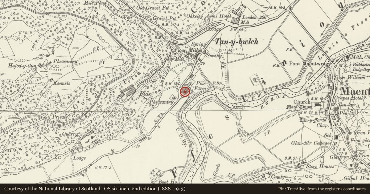 Ordnance Survey six-inch map, 2nd edition (1888–1913) covering the location of Crochendy Twrog, Maentwrog, Gwynedd, with a pin at the register's coordinates