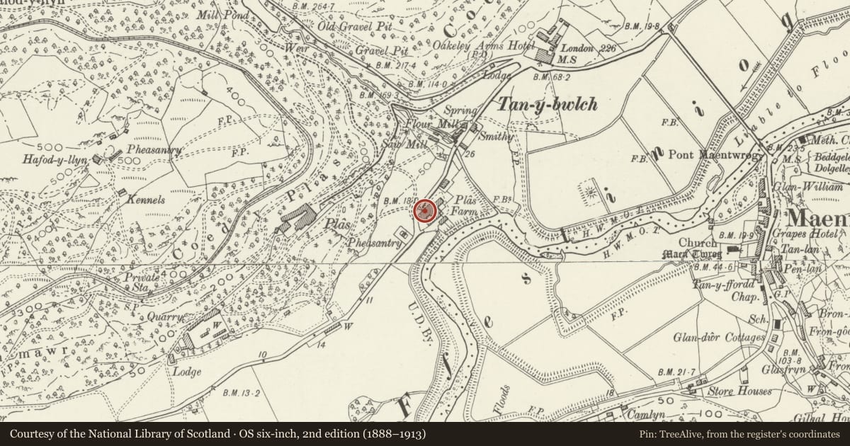 Ordnance Survey six-inch map, 2nd edition (1888–1913) covering the location of Yr Hen Ysgubor aka Barton Lodge, Maentwrog, Gwynedd, with a pin at the register's coordinates