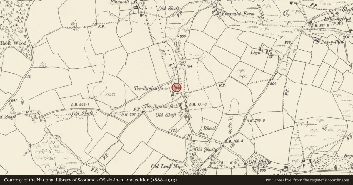 Ordnance Survey six-inch map, 2nd edition (1888–1913) covering the location of Trellyniau Fawr, Halkyn, Flintshire, with a pin at the register's coordinates