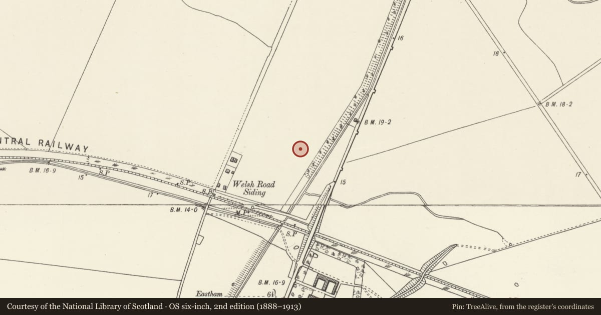 Ordnance Survey six-inch map, 2nd edition (1888–1913) covering the location of South Pair of Aircraft Hangars, Sealand, Flintshire, with a pin at the register's coordinates