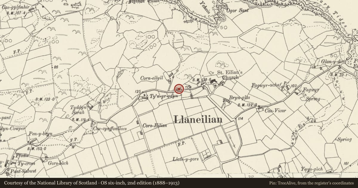 Ordnance Survey six-inch map, 2nd edition (1888–1913) covering the location of Llanfoi, Llaneilian, Isle of Anglesey, with a pin at the register's coordinates