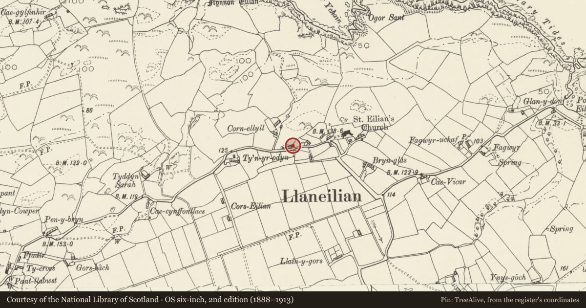 Ordnance Survey six-inch map, 2nd edition (1888–1913) covering the location of Llanfoi, Llaneilian, Isle of Anglesey, with a pin at the register's coordinates