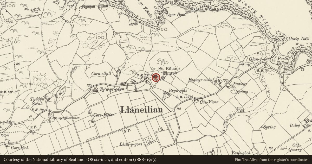 Ordnance Survey six-inch map, 2nd edition (1888–1913) covering the location of Lychgate to S entrance of Church of St Eilian, Llaneilian, Isle of Anglesey, with a pin at the register's coordinates