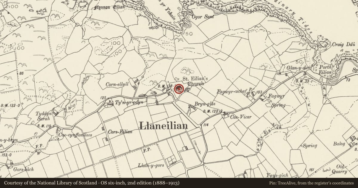 Ordnance Survey six-inch map, 2nd edition (1888–1913) covering the location of Cross in churchyard of Church of St Eilian, Llaneilian, Isle of Anglesey, with a pin at the register's coordinates