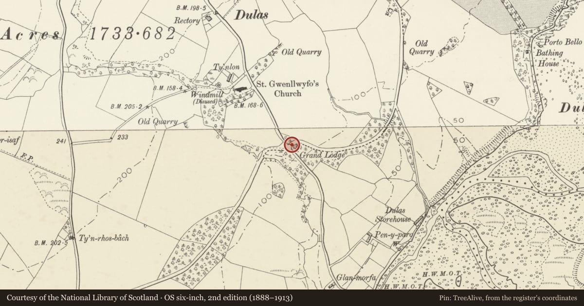Ordnance Survey six-inch map, 2nd edition (1888–1913) covering the location of Walls and railings at entrance by Grand Lodge, Llaneilian, Isle of Anglesey, with a pin at the register's coordinates